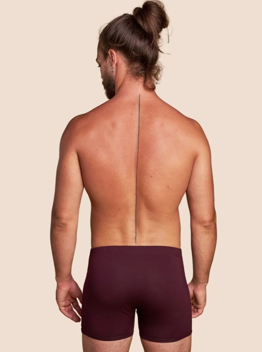 Boxer Héritage - Pack de 2