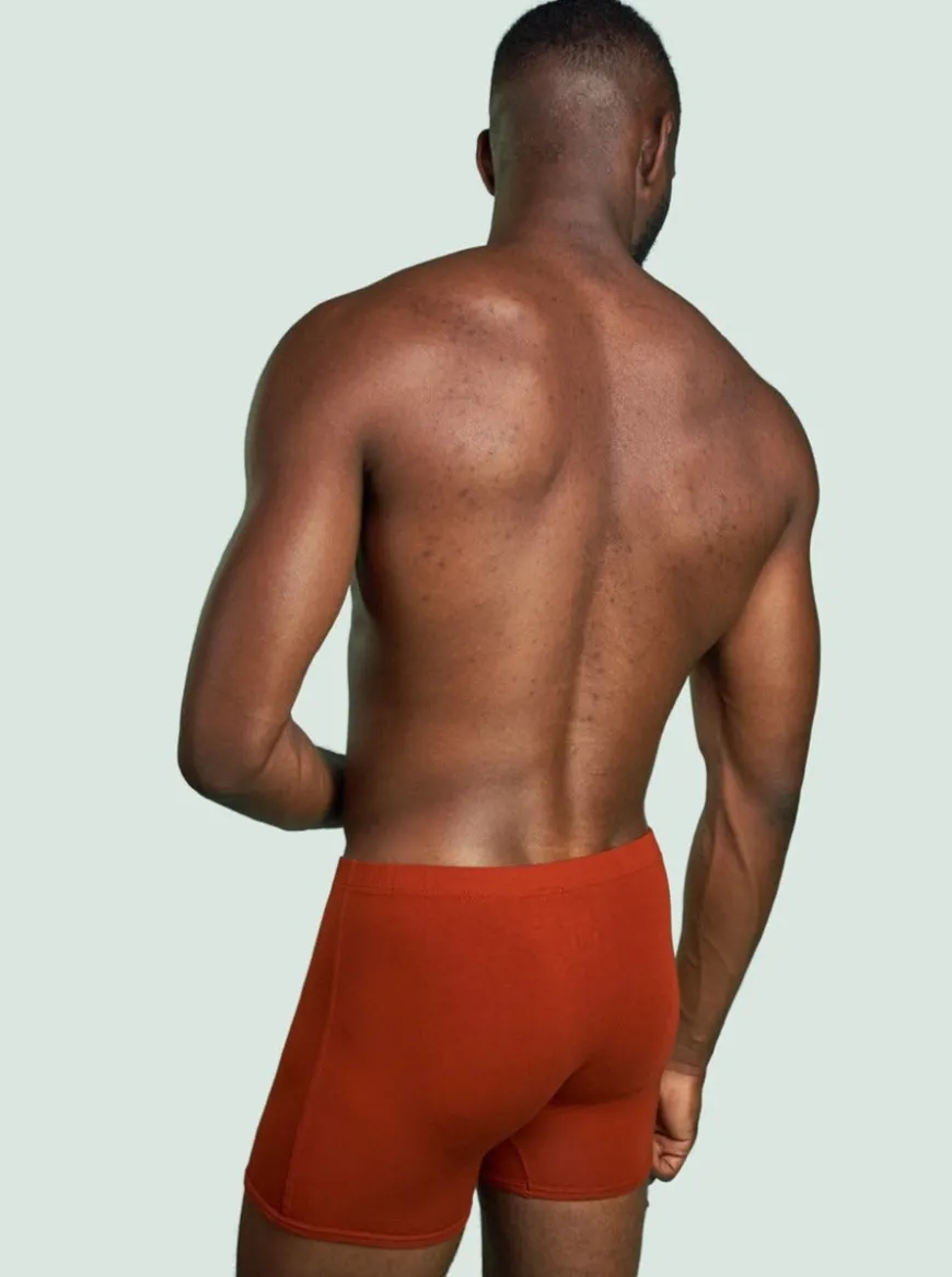 Boxer Héritage - Pack de 2