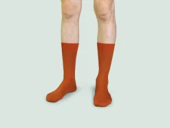 Chaussettes côtelées fil d'Écosse