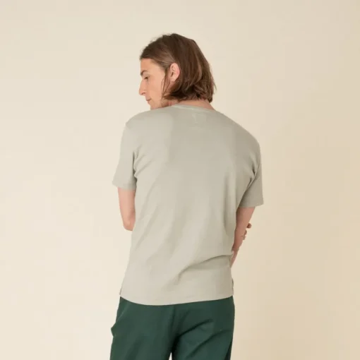 Gobi Sage green